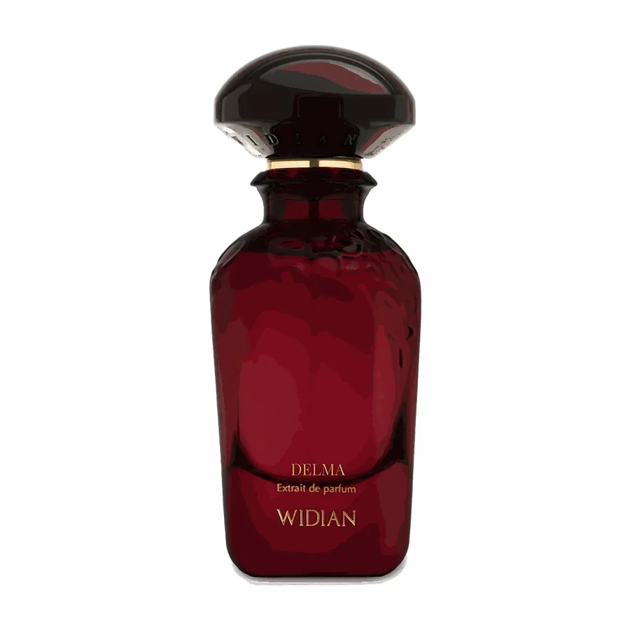 WIDIAN DELMA